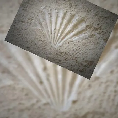 Гостевой дом Dimora Petra Полиньяно-а-Маре