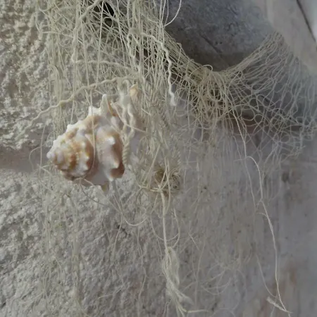 Penzion Dimora Petra